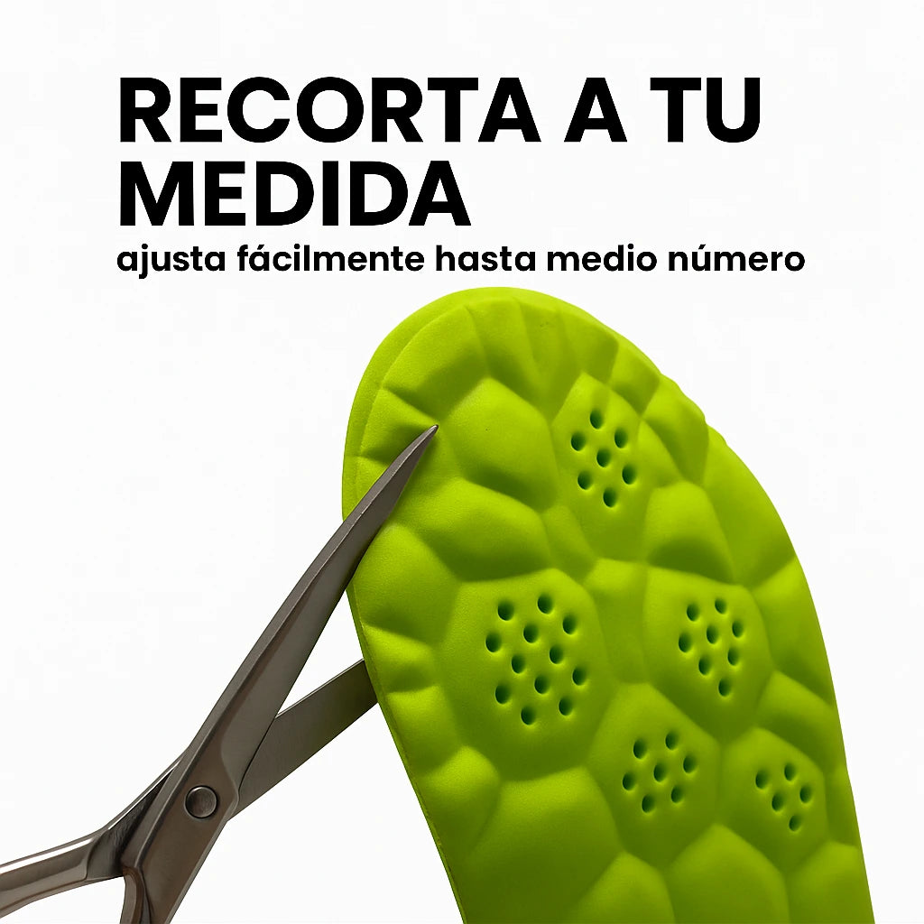 Plantillas de Pádel Elite™